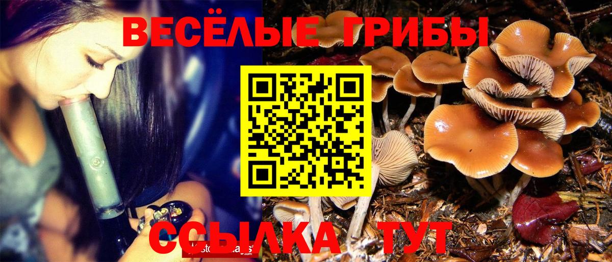 Галлюциногенные грибы GOLDEN TEACHER Ртищево